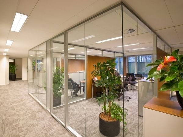 Película de Proteção tipo Insulfilm em São Francisco do Conde